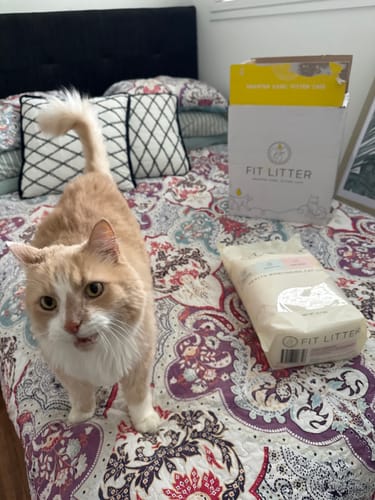 Customer photo review of 3 Month Supply - 1 Cat