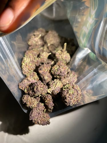 Customer photo review of Cheap THCA Flower Ounce (28g)