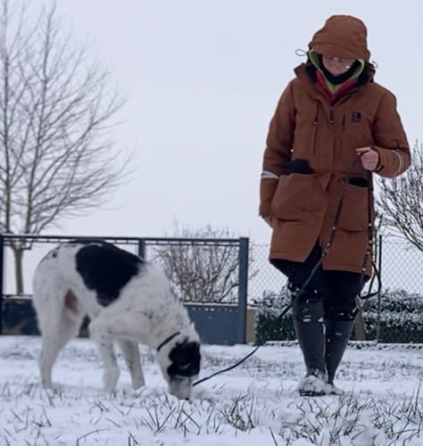 Kunde i en karamelfarvet Parka Jacke 9.0, der går tur med en hund i sneen.