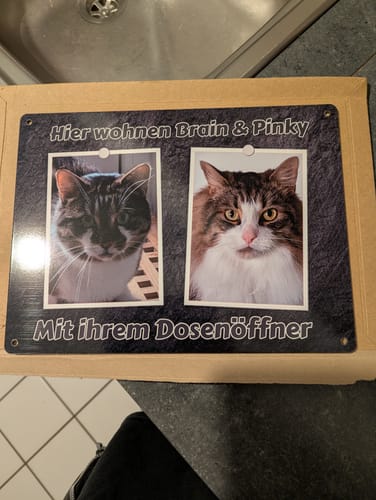 Customer photo review of Hunde-Türschild personalisiert mit Foto & Text (UV- und wetterfest)