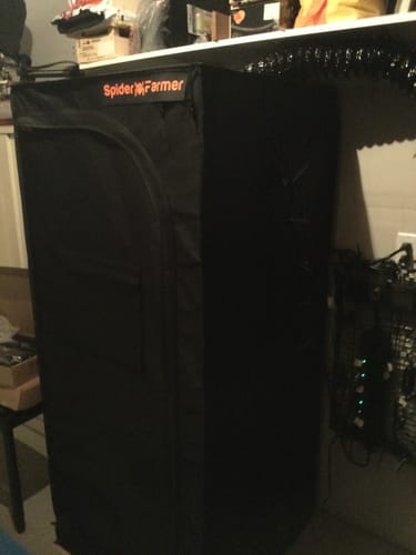 Customer photo review of Spider Farmer SF1000 LED Complete Grow Tent Kits