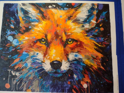 Customer photo review of Inquisitive Fox