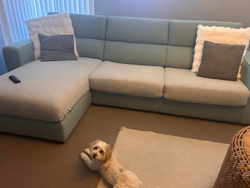 Customer photo review of New Magic Stretch Sofa Covers - Universal Washable Couch Cushion Slipcovers for Sectional Sofa, Perfect Fit & Easy Care