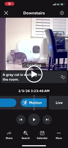 Customer video review of Self-Cleaning Litter Box