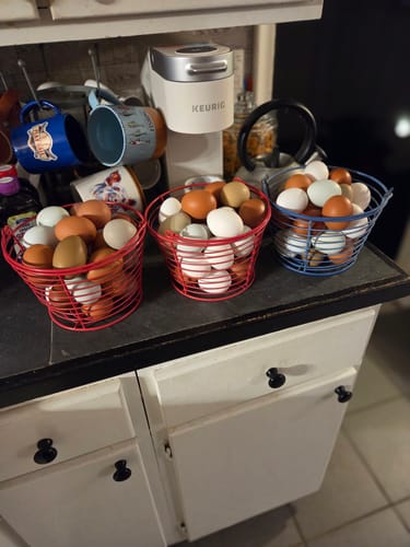 Customer photo of three baskets overflowing with fresh eggs, showing strong production from using the dewormer.