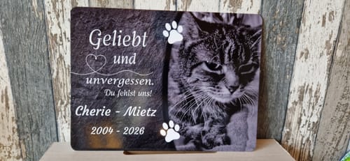 Customer photo review of Katzen Gedenktafel mit Foto & Spruch (UV- & Wetterfest)
