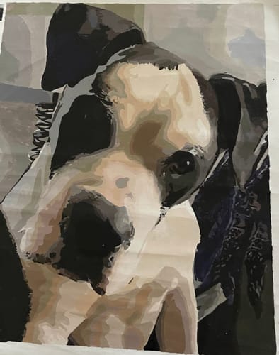 Customer photo review of Custom Pet Paint By Numbers