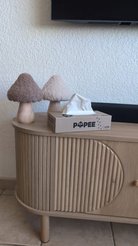 Client : la boîte de mouchoirs du kit découverte posée sur un meuble en bois.