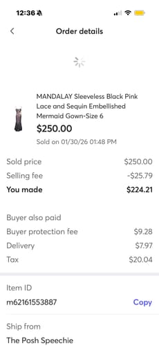 Customer photo review of Red Carpet Ready Exclusive Celebrity Mandalay Dresses NWT
