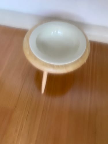 Customer photo review of UFO Styled Tilted Cat and Dog Bowl with Elevated Stand