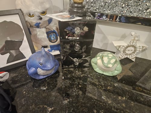 Customer photo review of Polli Worl the Blue Onion Frog