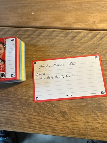 Customer photo review of OXFORD FLASH 2.0 flashcards # gelijnd, A7, pak van 80 stuks