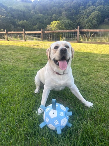 Customer photo review of Grab Tab Soccer Ball