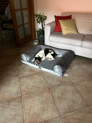 Customer's black and white dog resting in the grey Pet Sofa Bed on a tiled floor in a living room.