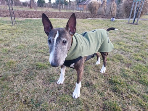 Customer photo review of Dog Fleece With Zip - Khaki