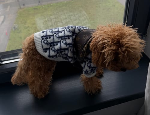 Customer photo review of L - Bag E2