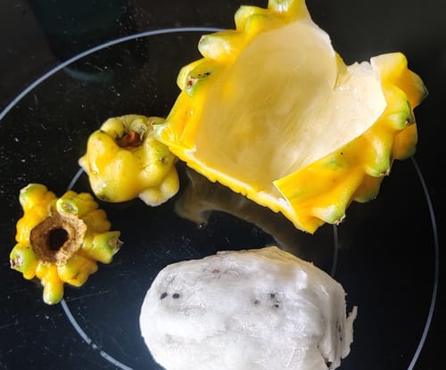 Ein Kunde zeigt eine geschälte gelbe Drachenfrucht mit ihrem weißen Fruchtfleisch und der Schale auf einer dunklen Oberfläche.