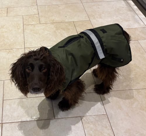 Customer photo review of 3-in-1 Dog Coat