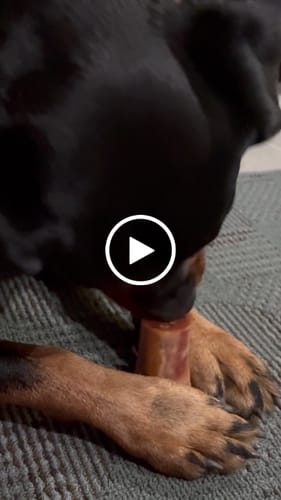 Customer video review of Smoked Beef Marrow Bone