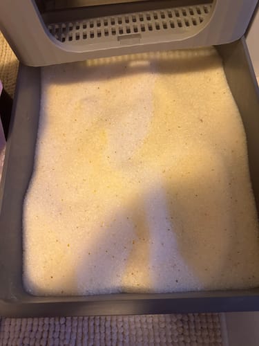 Customer photo review of 3 Month Supply - 1 Cat