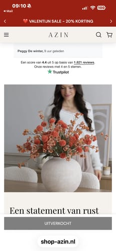Klant deelt een screenshot van het uitverkochte Wax Arrangement met oranje bloemen in een grote vaas.