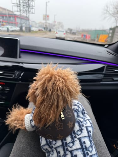 Customer photo review of D - Sweater E1