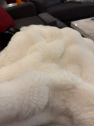 Customer photo review of Luxury Faux Fur Throw Blanket - Soft, Plush & Machine Washable