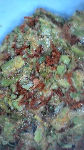 Customer photo review of Cheap THCA Flower Quarter Pound