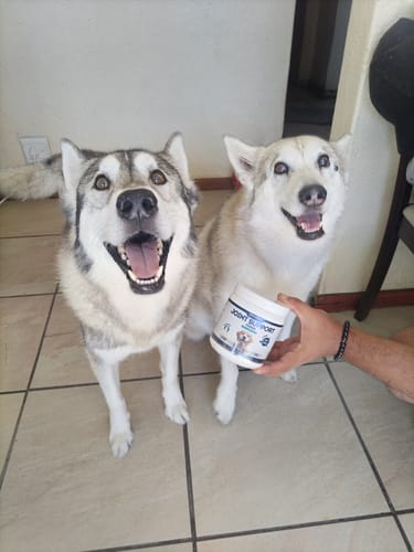 Customer photo review of Joint Support Powder