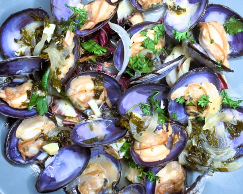 Customer photo review of Purple Savory Clams