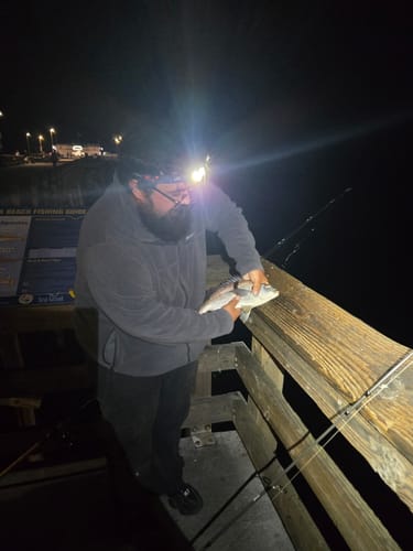 Customer photo review of 8Ft No Excuses Travel Rod with Tube Medium-Heavy Action 1/2oz to 2oz