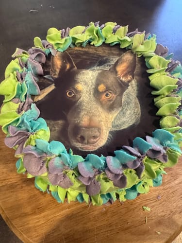 Customer photo review of 15 cm Round Custom Edible Icing Image