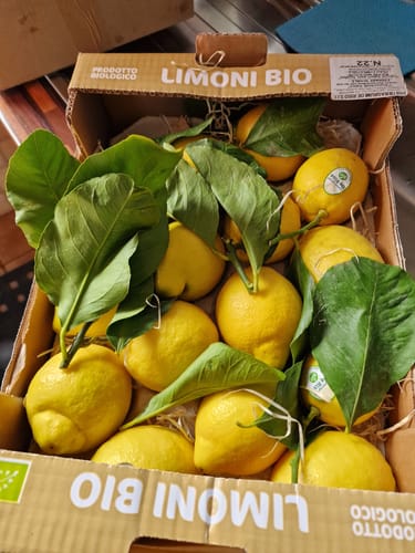 Ein Kunde zeigt die gelieferten Amalfi-Bio-Zitronen mit Blättern in der Kiste.