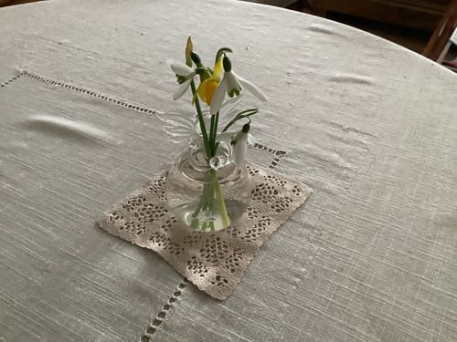 Customer photo review of Mon grand ange gardien®