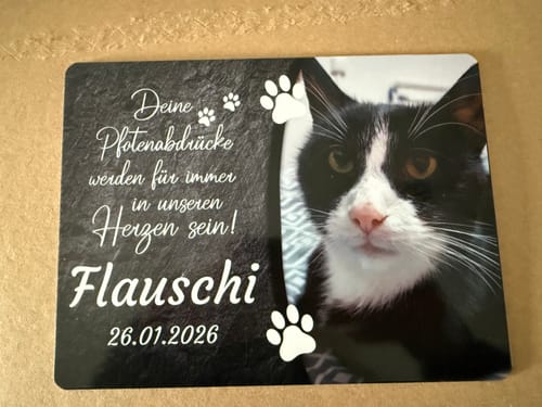 Customer photo review of Katzen Gedenktafel mit Foto & Spruch (UV- & Wetterfest)