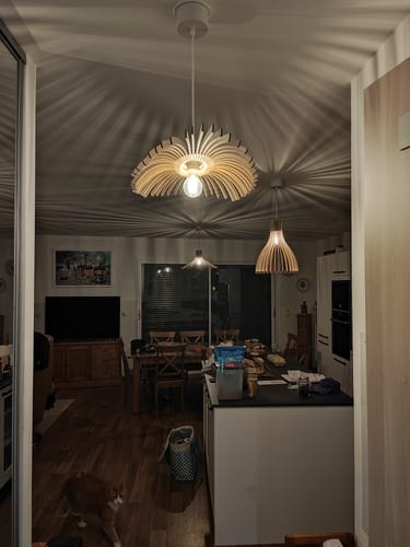 Customer photo review of Cygne | Suspension