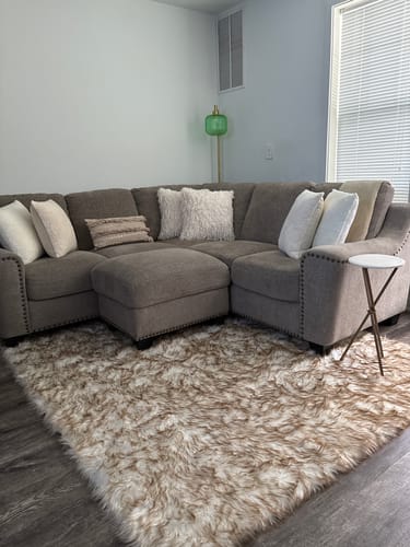 Customer photo review of Luxury Washable Faux Sheepskin Rug - Pet & Stain Proof Shag Carpet for Home