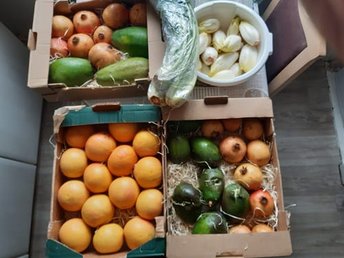 Kunde zeigt die gelieferten kleinen Granatäpfel in Kisten, zusammen mit anderem frischen Obst.