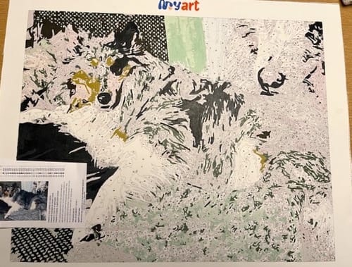 Customer photo review of Paint Your Photo