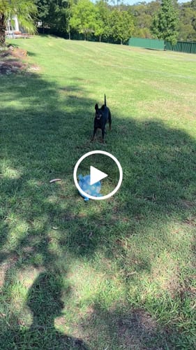 Customer video review of Grab Tab Soccer Ball