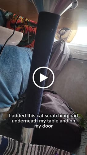 Customer video review of Multifunctional Cat Scratching Carpet
