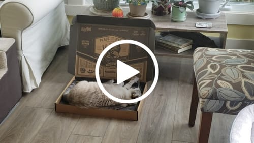 Customer video review of Milo's Magic Seasoning