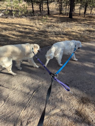 Customer photo review of Leader Pro