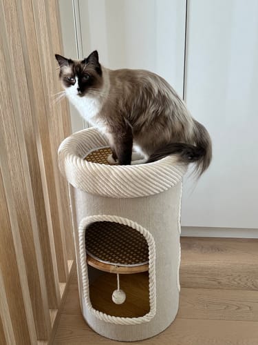 Customer photo review of Marie Castle 3-Level Cat Tower & Bed– Multi-Tier Hideaway with Scratch-Resistant Fabric