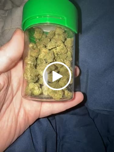 Customer video review of Super Menthol Haze THCa Flower 3.5g 🔴 Sativa