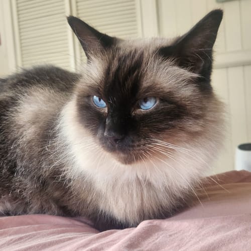 Customer photo review of EXTRABAG