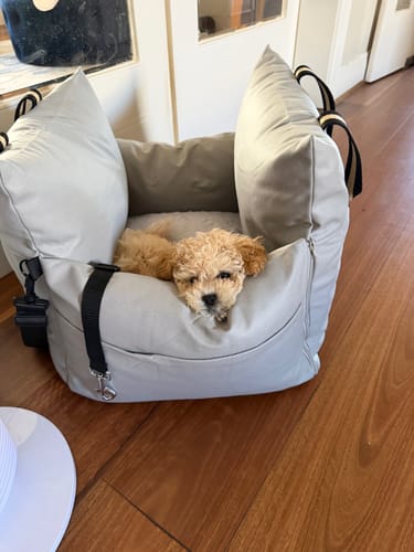 Customer photo review of Boujee Booster