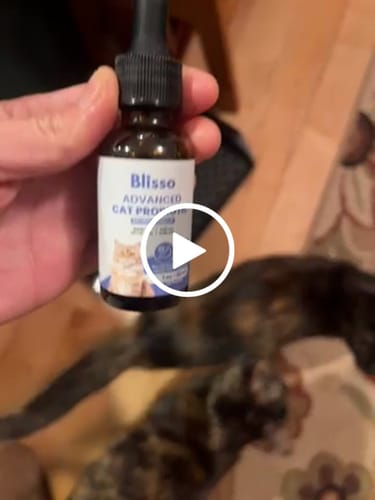 Customer video review of 8x Blisso Advanced Cat Probiotic | Cat Probiotic for Diarrhea & Kidney Support