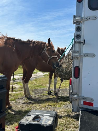 Customer photo review of 5 For $100 Deal