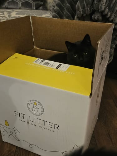 Customer photo review of 3 month supply - 6 Cats